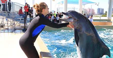 Instructor and Dolphin